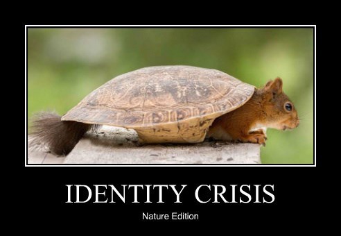 Billede hentet fra: https://cheezburger.com/8604233728/identity-crisis